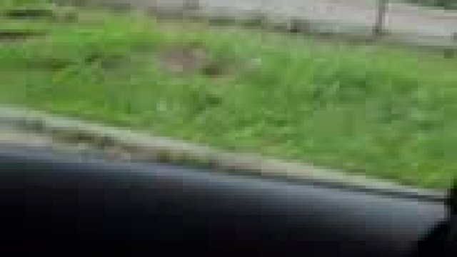 Had to pay for the ride