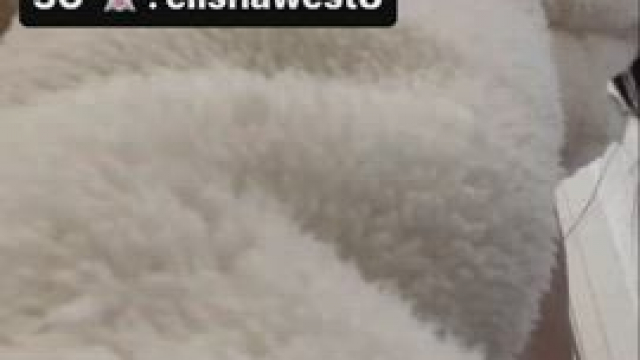 WHO LOVES FAT ASS TIKTOKS