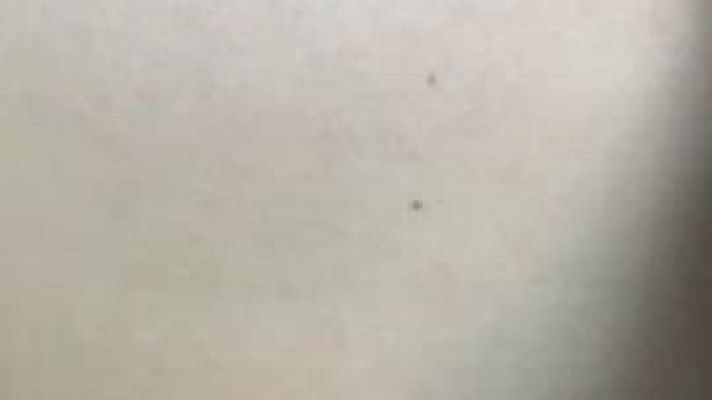 My 18 year old pussy is online for the whole day!Interested? DM me! [dom] [gfe] 