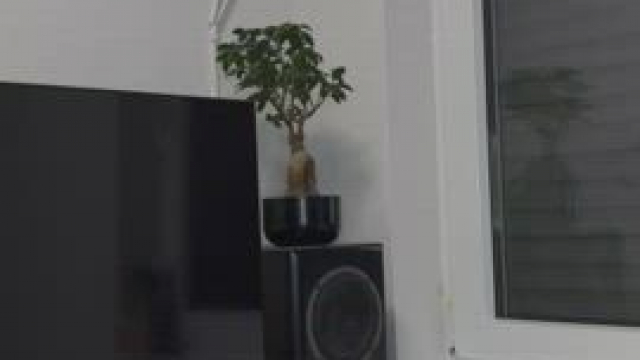 Can we try this position?