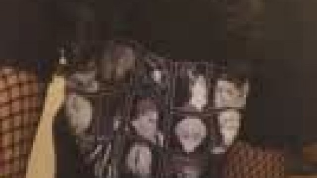 I’m a bit of a shy slut ( /)w(\?) pls be nice