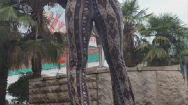 I was so nervous someone would walk by [gif]