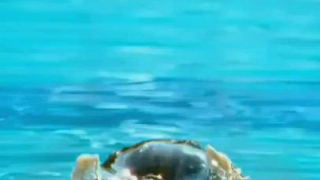 The Underrated Aditi Rao Hydari