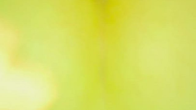 Tell us what you think;)