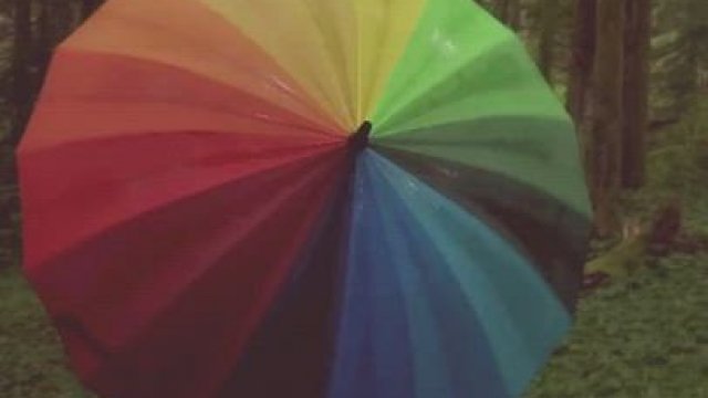 Come take a walk with me in the Pacific Northwest rain