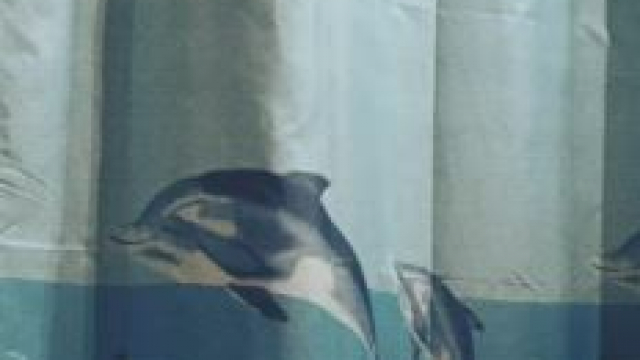 Teasing and Pleasing is My Motto