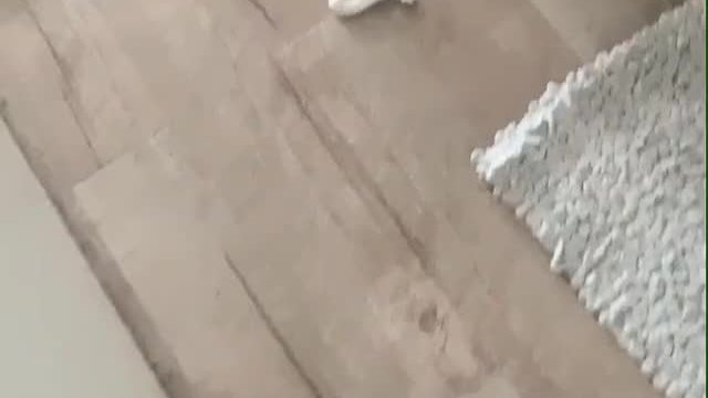 What do you do when bae is playing for too long? 