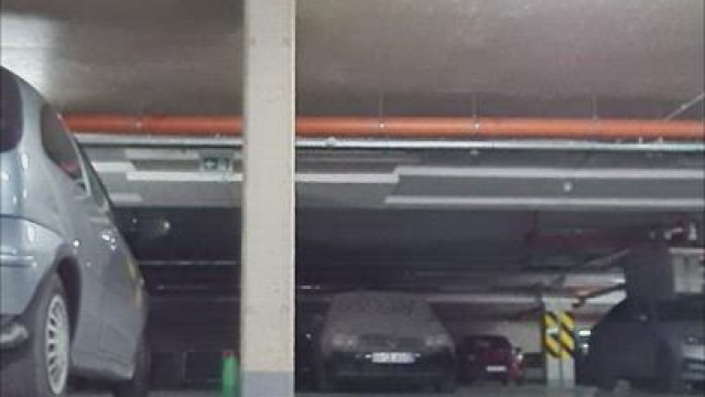 What would you do if you saw me flashing my ass in public?