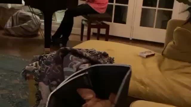 Billie Eilish slapping her tits on instagram