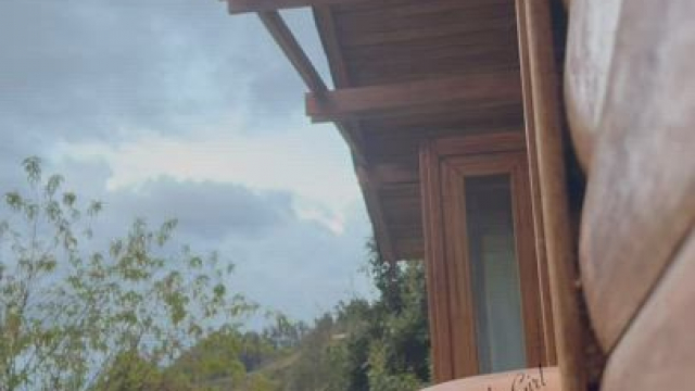 [OC] They feel so good bouncing against the window frame