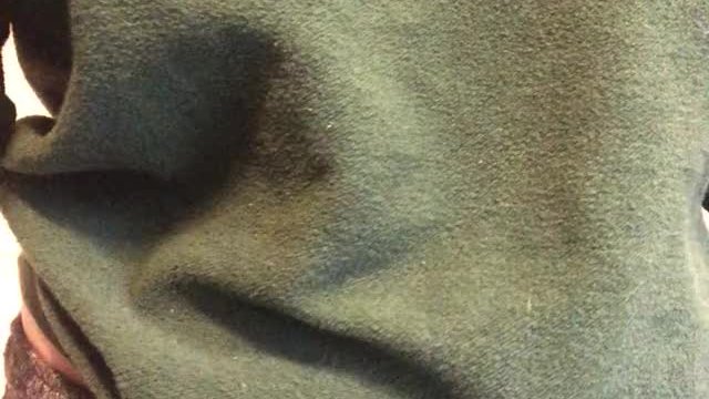 they’re hiding from the cold but I’ll pull them out just for you (oc)