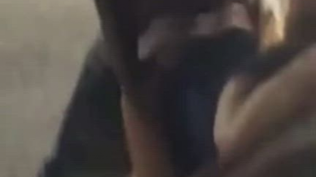 Making Friends In The Parking Lot