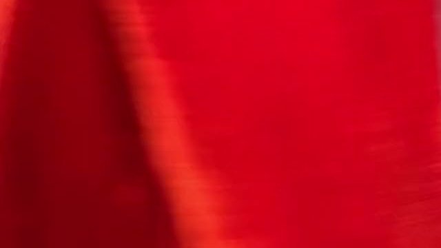 Jump into the holiday spirit ✨✨