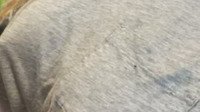 Just a warm up cardio, can’t wait for the real cardio where you make them bounce