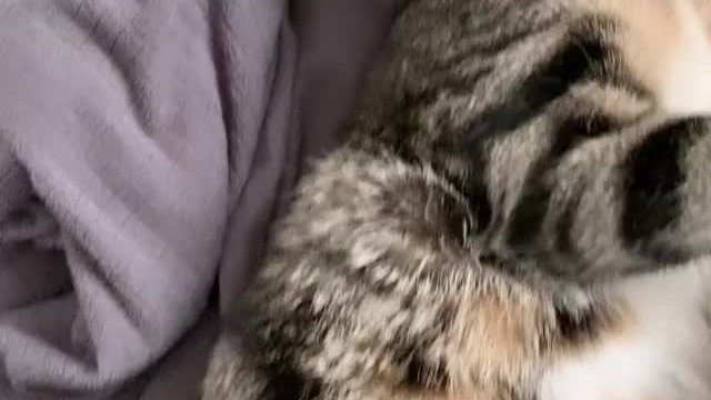 It’s safe to say that I have a very beautiful pussy