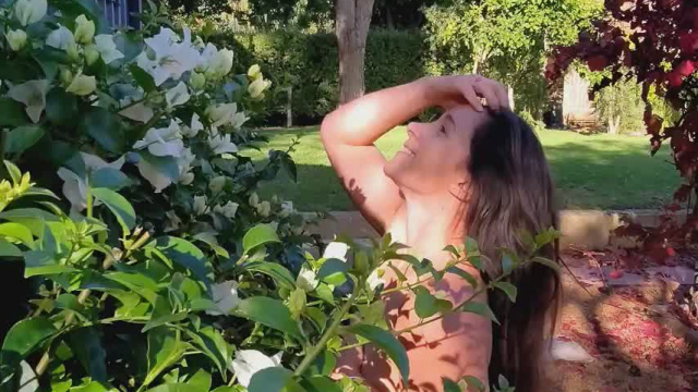 I need help reaching the taller trees please