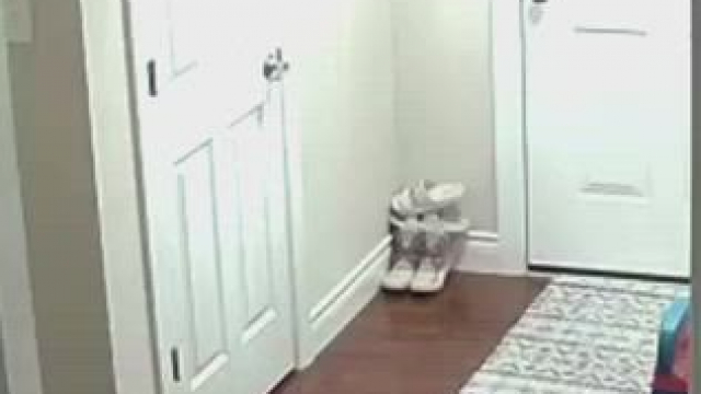 Real. 3rd pizza dare ? , sorry for low quality