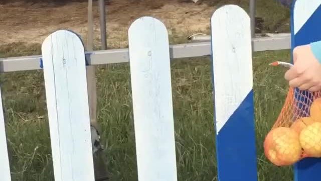 On a date with this small pussy (fucked and facial)