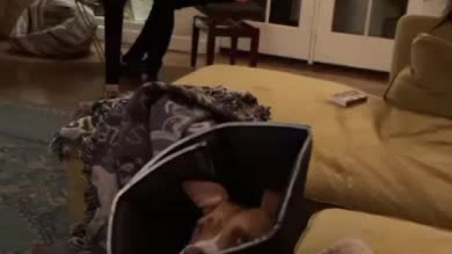 Billie Eilish slapping her tits