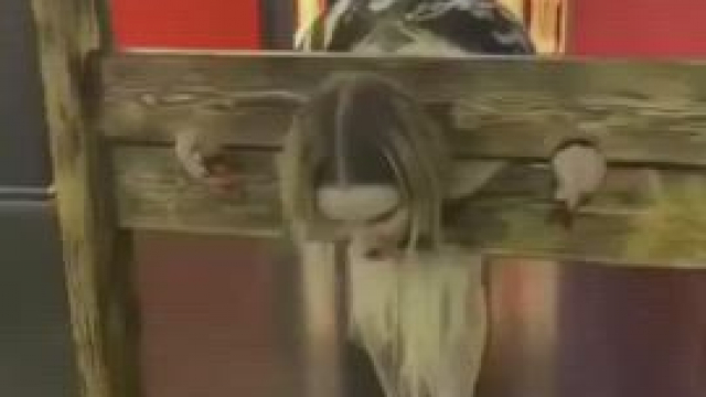 Put on display for anyone to use