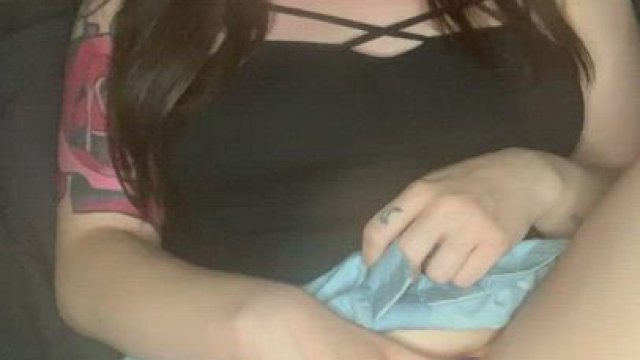 Kitty needs soft pets