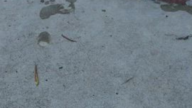 Genuine Laughter [OC]