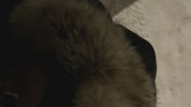 Sucking dick in snow was so much fun