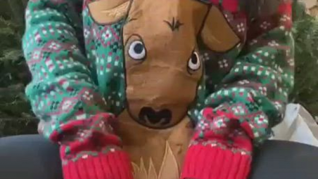 Rudolph isnt just hiding his red nose.