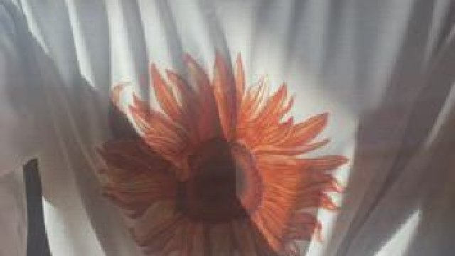 Did I hide them well