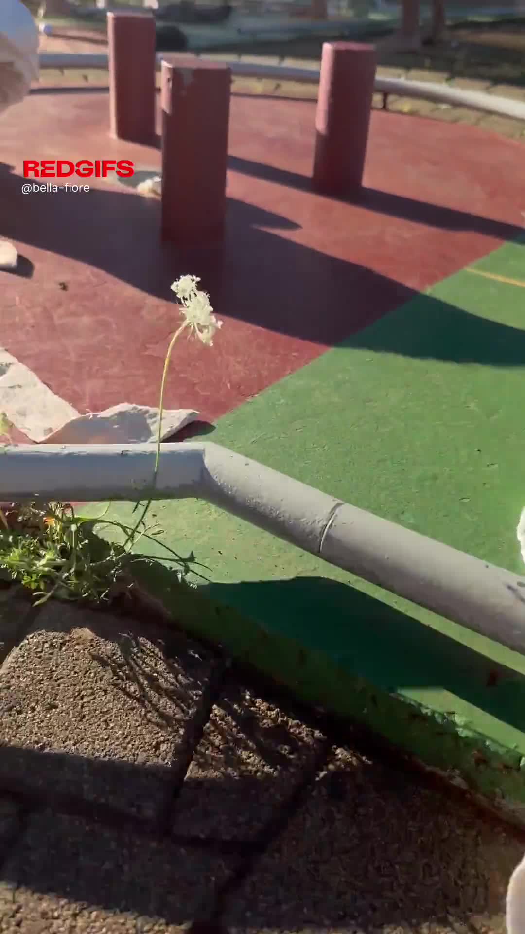 Have you ever played strip minigolf [GIF]