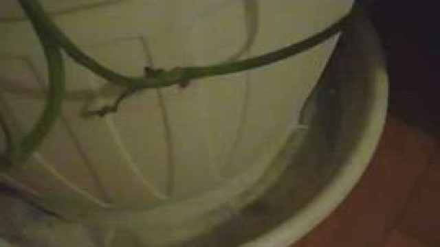 This is probably the hottest porn anyone has ever posted here..