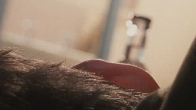 Rachel Weisz - The Constant Gardener (2005)