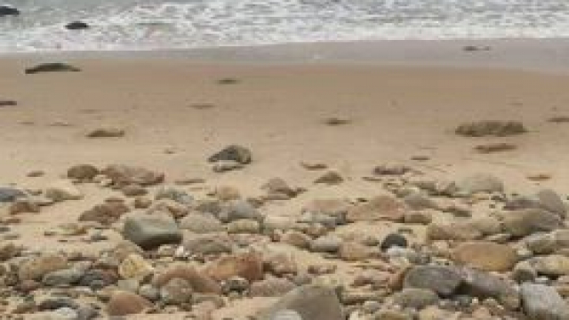 The views at this beach are pretty great [GIF]