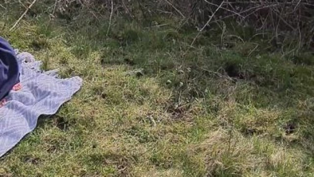 [OC] You're invited to my picnic but only if you bring your friends.