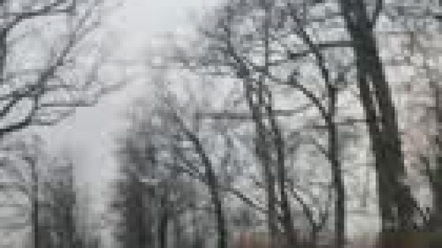 I think my boobs have grown again after Christmas eating. And other drivers seem