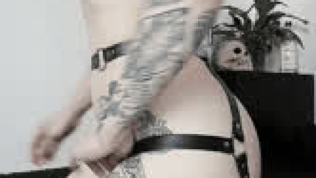 fasten your seatbelt it's gonna be a bumpy ride