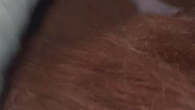 Got on my knees for my husband's cousin while he showered