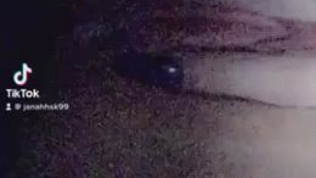 I almost got caught in this one