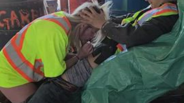 i obey my boss no matter what he says