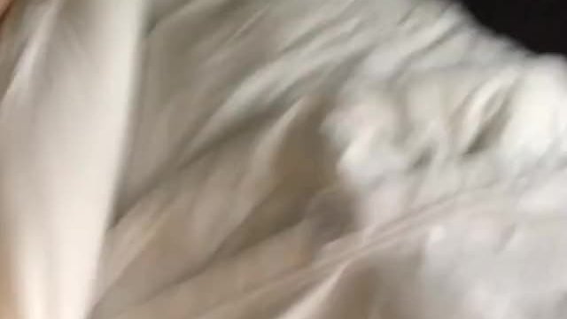 Quick clip of brunette teen taking black buddy