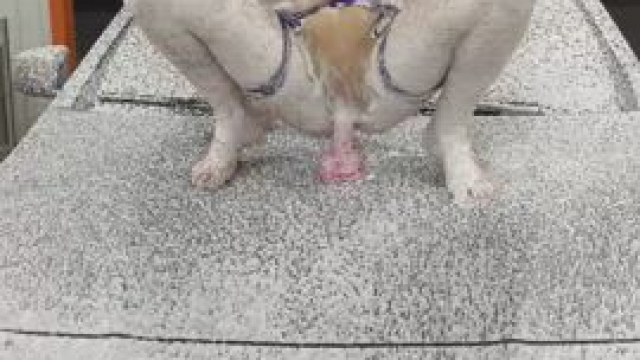 Do you want me to wash your car?