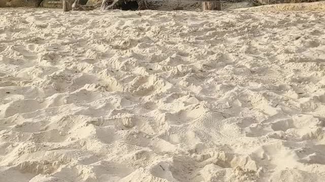 Would you fill me with your load on the beach? I think it would be kinda fun if 