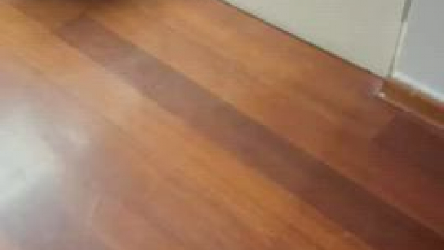 What I see when I come back from work