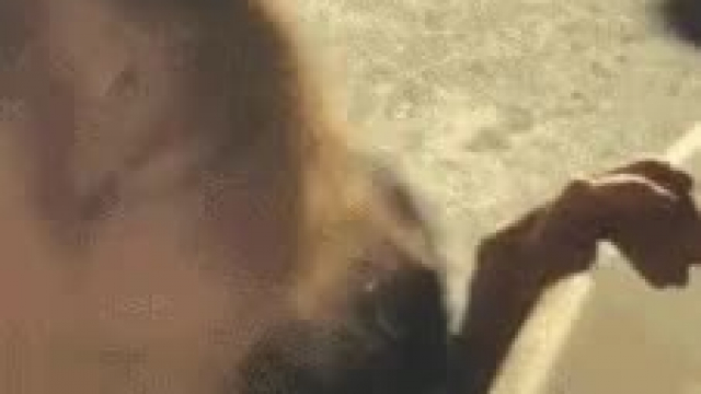 I wanna be like her. I'll take it anywhere (;