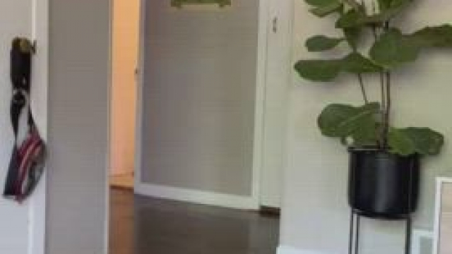 Mornings make me excited