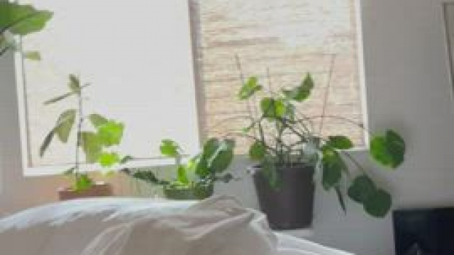 First post here hi :)