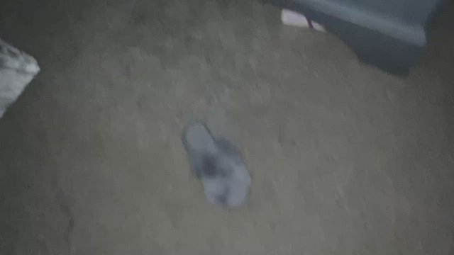 I think he’s pretty lucky to have a free use girl like me for him to cum on when