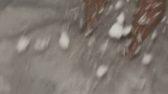 Is cold good for men's balls? Let's find out in the snow