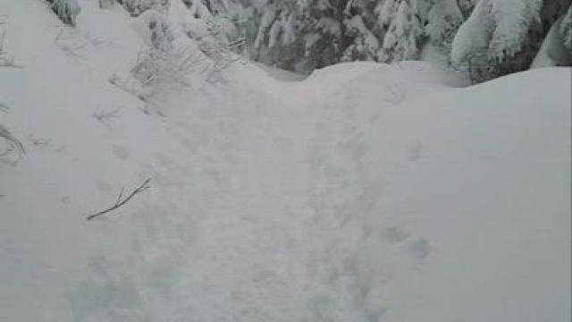 Canadian, carefree, and only a little crazy