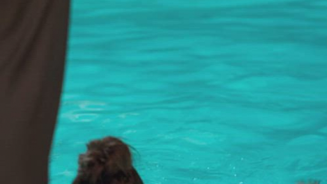 Ana de Armas plot from The Night Clerk